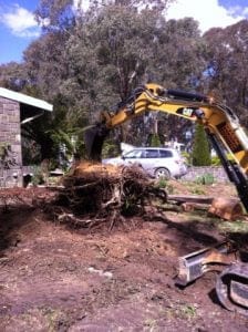 Bobcat Excavation tree stump removal Berwick