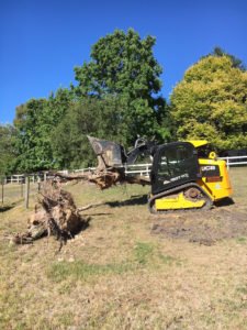 Tree Stump Removal Berwick Mornington Peninsula