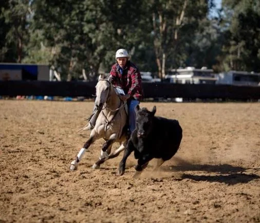 Campdrafting Horse arena construction